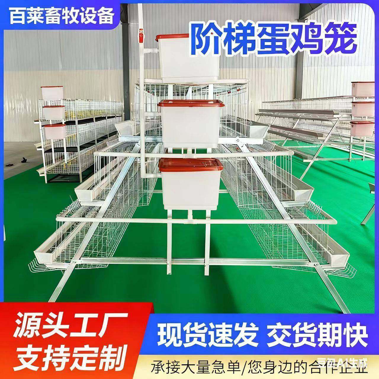阶梯式蛋鸡笼三层四层阶梯式蛋鸡笼家禽养殖设备冷镀锌蛋鸡笼,畜牧/养殖物资,特种养殖设备,淘宝优惠券,粉丝福利购,淘宝优惠卷