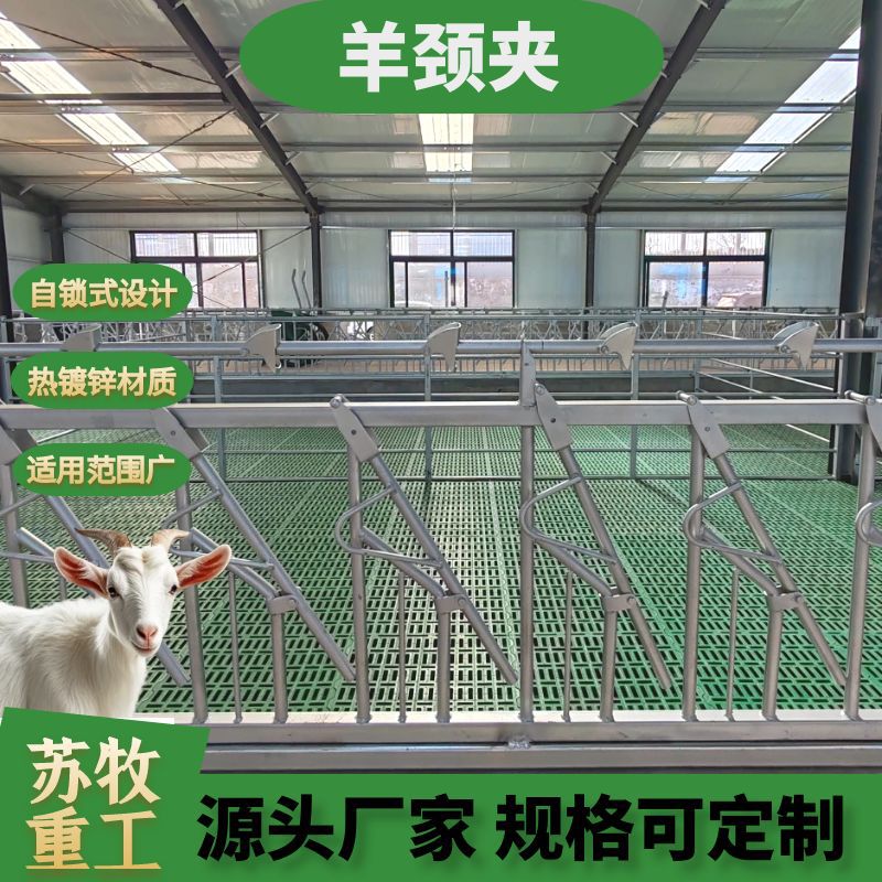 新型自锁式羊颈夹羊脖夹配件养羊牧场设备配件加厚热镀锌