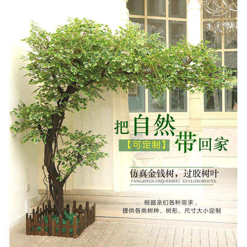 发财树新款落地花艺大型植物橱窗装饰酒店网红背景实木树干摇钱树