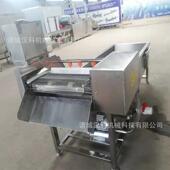 喷菠菜气泡清洗预机菜高压淋FPW清洗机制白菜气泡清洗机