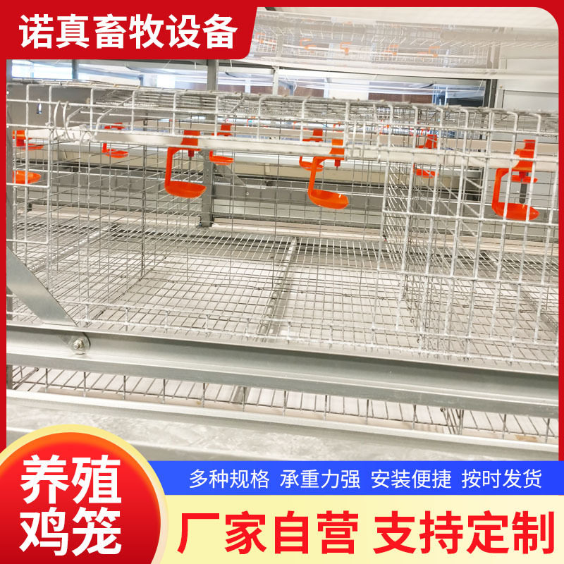 育雏鸡笼四层小鸡笼高密度镀锌防锈防跑鸡养殖设备鸡舍跑道鸡笼