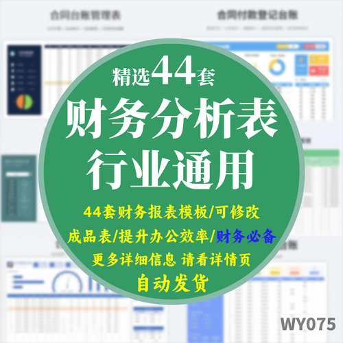 工资表员工模板电子版财务报表分析报告企业成本核算经营日销售表