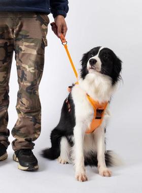 狗VPE狗牵引绳胸背一可体犬伸缩遛狗绳中型型宠物背大心式背带防