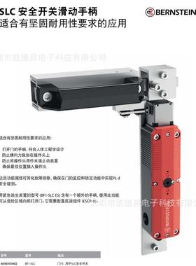 原博恩斯坦安全门锁开SLC--装024-11M/11-R04订货号60SLC-M-02182