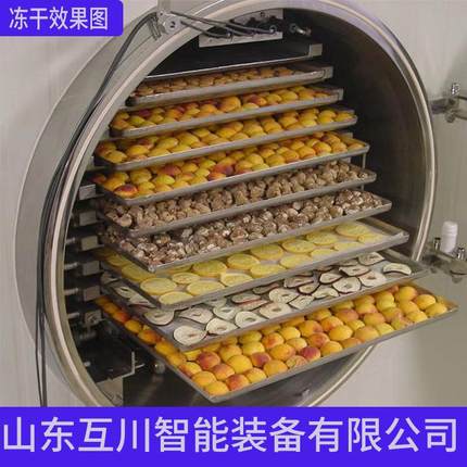 虾米冻干设备海鲜冻干机海带丝虾仁低温冻干速食食品脱水设备