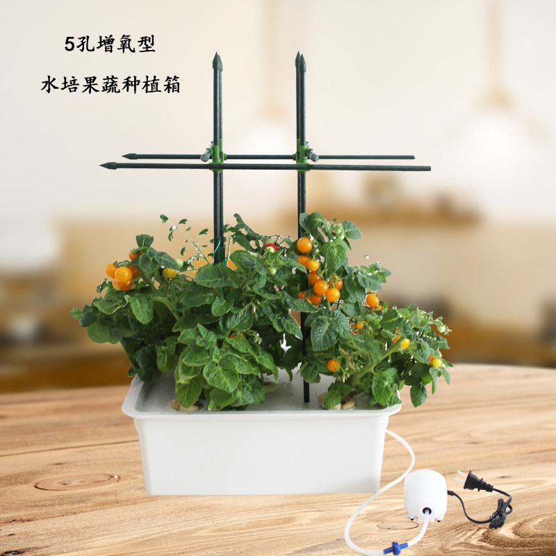 幸运买家无土栽培花盆番茄黄瓜文竹果蔬绿植5孔增氧型水培种植箱