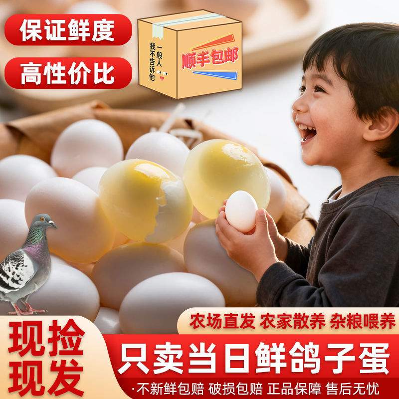 精选鸽子蛋新鲜30枚700克左右杂粮散养土白鸽蛋孕妇宝宝辅食顺丰