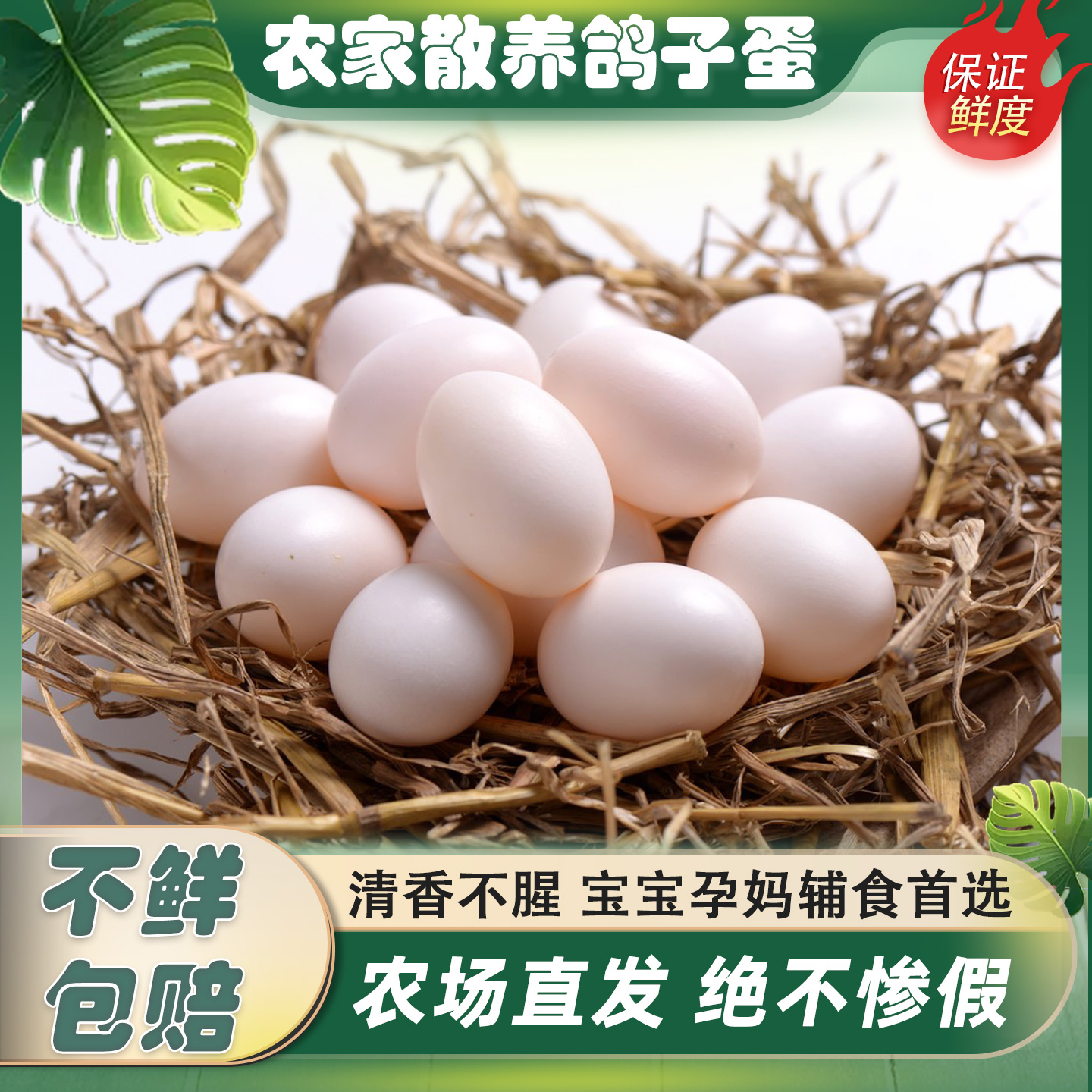 新鲜鸽子蛋30枚孕产妇辅食宝宝老人补充营养散养杂粮鸽子顺丰包邮