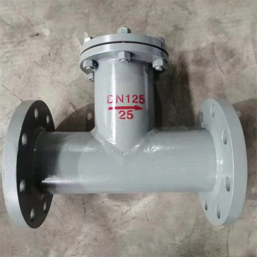 304不锈钢T型管道法兰过滤器