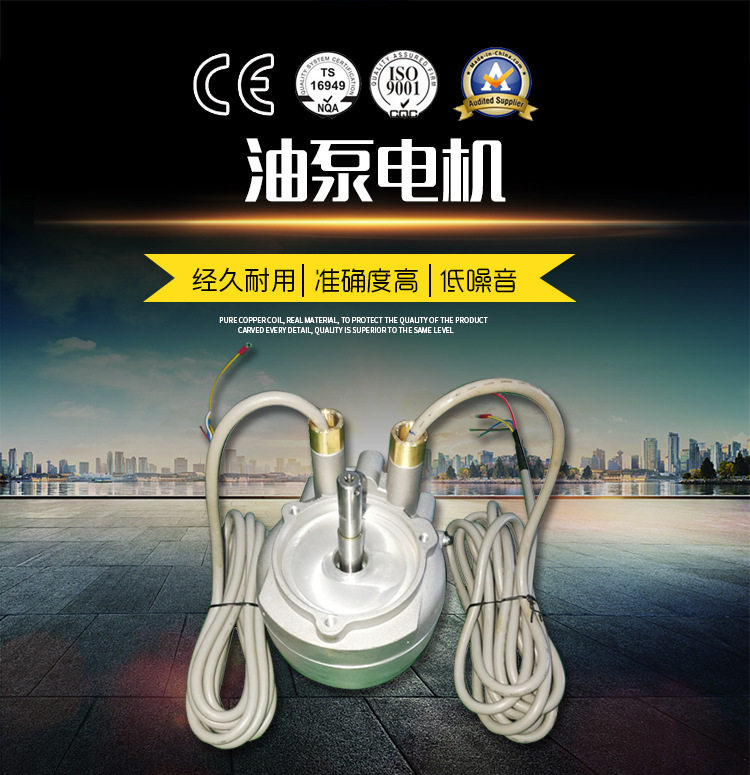 36V DC 36v直流无刷外转子NP加油站油泵抽油电机