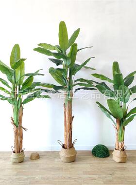 仿植芭树绿大型44008落地香蕉树盆栽室内真庭院装饰摆放造景蕉假