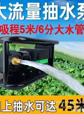 泵用抽水浇直菜自吸电动充电JTO式122v4家v流农用大功率抽水机