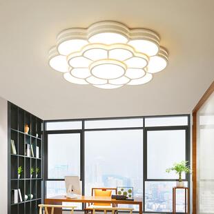 LED吸顶灯2024年新米款梅形状大见描述灯简约花现代客厅灯大.厅灯