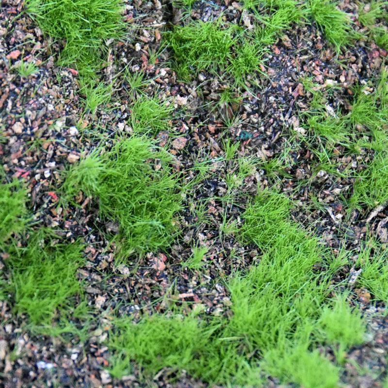 人装造TCU苔藓山丘造型假草皮仿真植物墙配材室地内景观饰仿真草