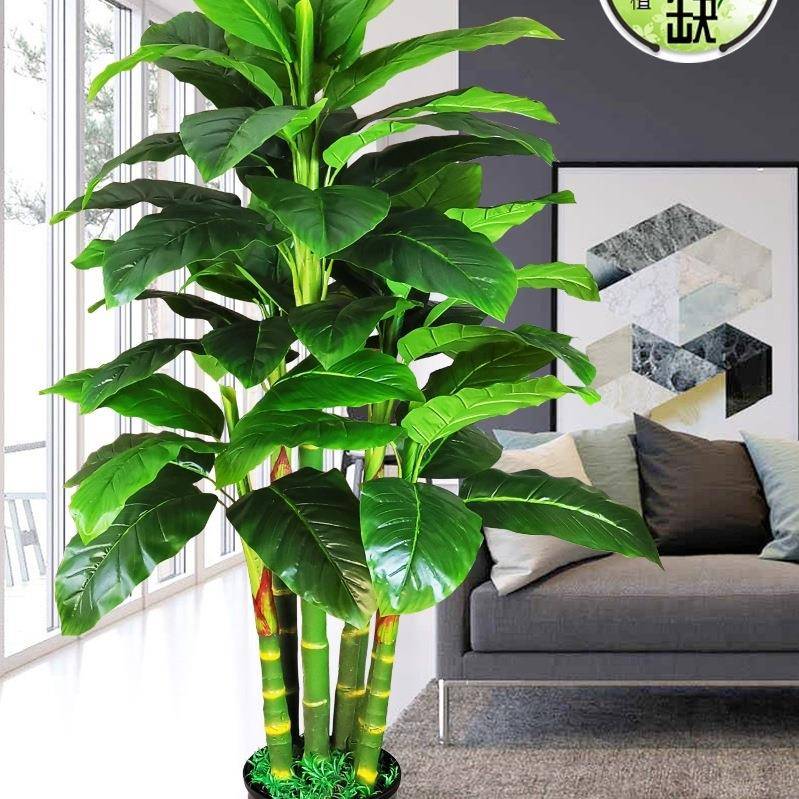植物大型盆景室内10036154料树客塑厅摆件落装饰假栽万年地青盆树