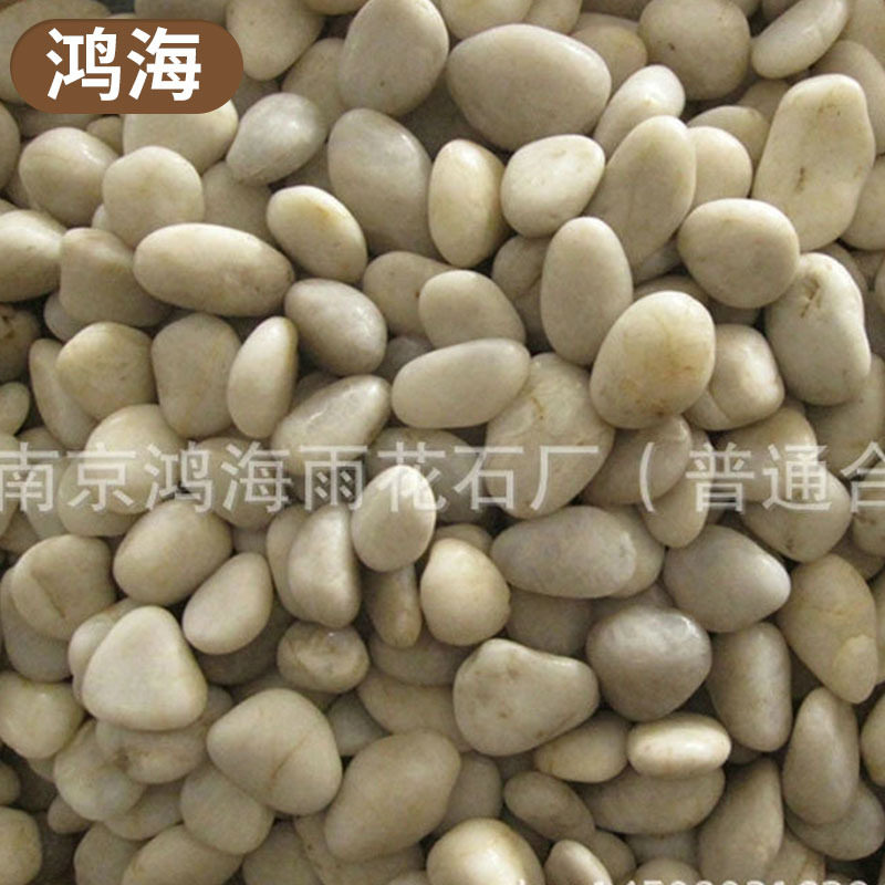 园林景观造景专用南京白色雨花石抛光鹅卵石园林用石子白色雨花石