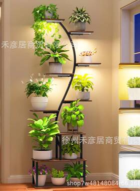 花架室内台客BSS阳花架子带生长灯花盆厅盆栽架多架层铁艺花架