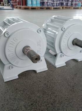 500W0SRP0转低永发电机无速刷免维护磁电径可风5力水力发电