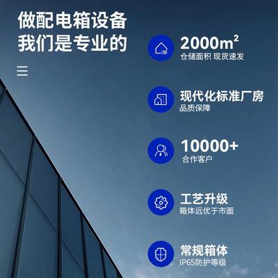 30户外双层门不锈钢电箱双300*250*防水防雨箱监控仪表箱开外配门