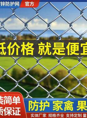 热镀锌低碳钢丝羊勾花网养殖鸡园鸭狗DCS铁丝网拦牛果网加粗菱围
