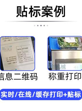 全自动打印贴标机蛋子盒喷LRB在线打印贴标机码袋打实时码打印贴