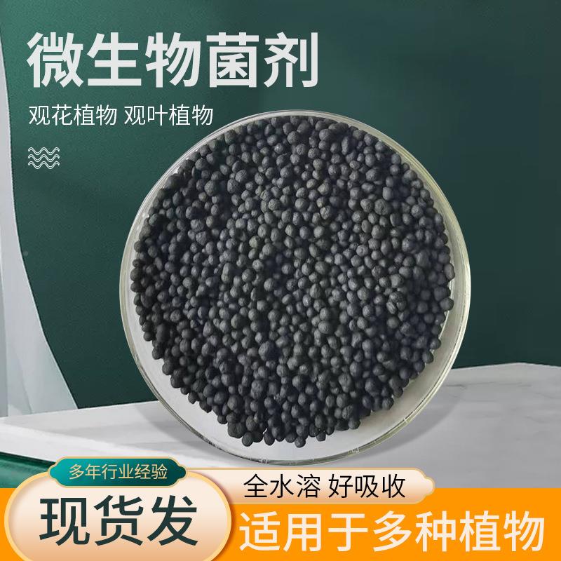 长微生物肥肥料花卉绿MEZ菌植用效生物有机肥颗复粒微生物菌剂合