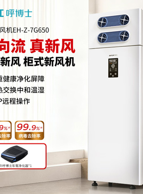 BRI呼博士新风系统一体机柜式家用全屋通风换气排风一体双向流650