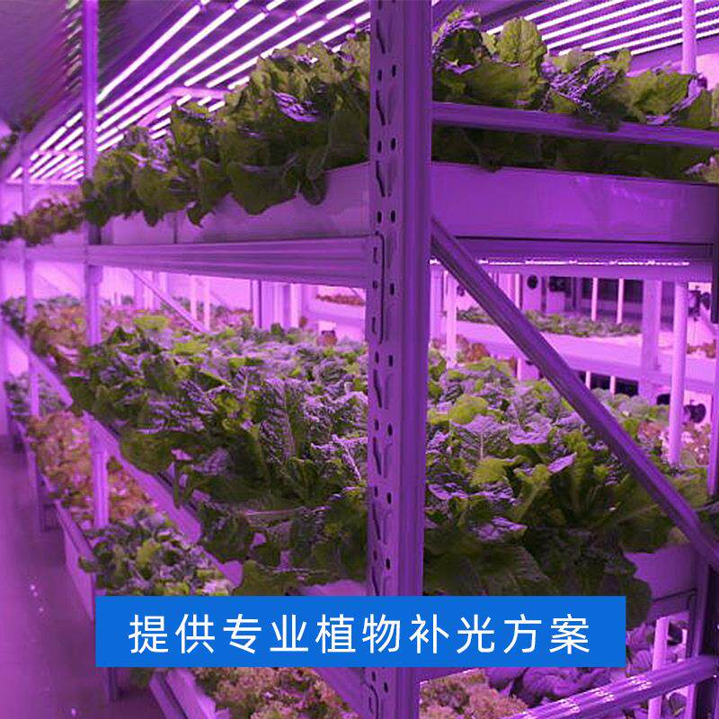 组培灯植物生长补光灯T8全光谱蔬菜绿植育苗led灯红蓝光
