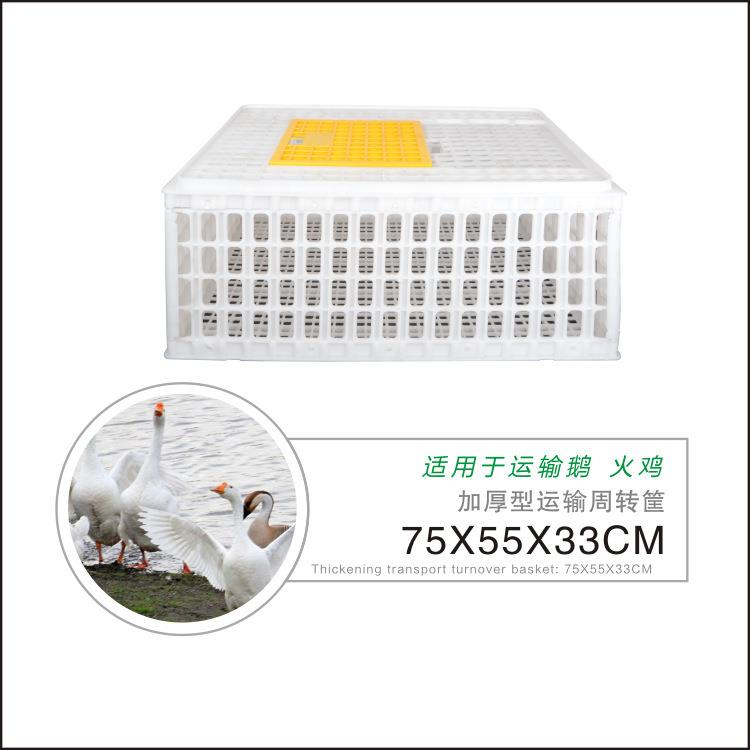 鸡笼周转箱鸭鹅运输筐塑料鸡笼子特大号活鸡周转箱成鸡框养鸡设备