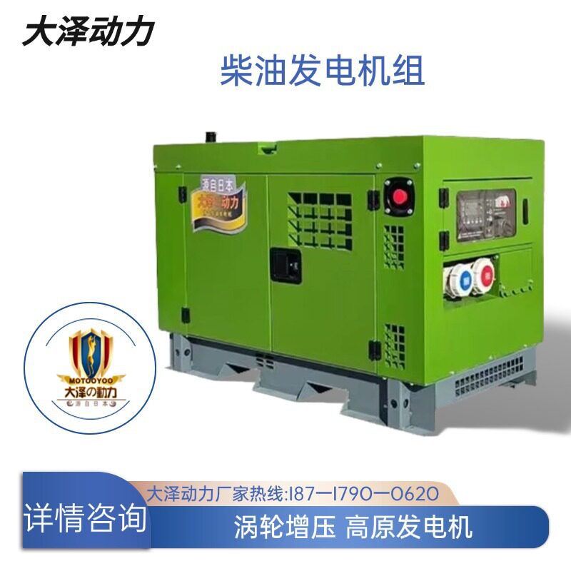 高原高寒大泽动力15KW柴油发电机 涡轮增压 功率足380V TO18000RZ