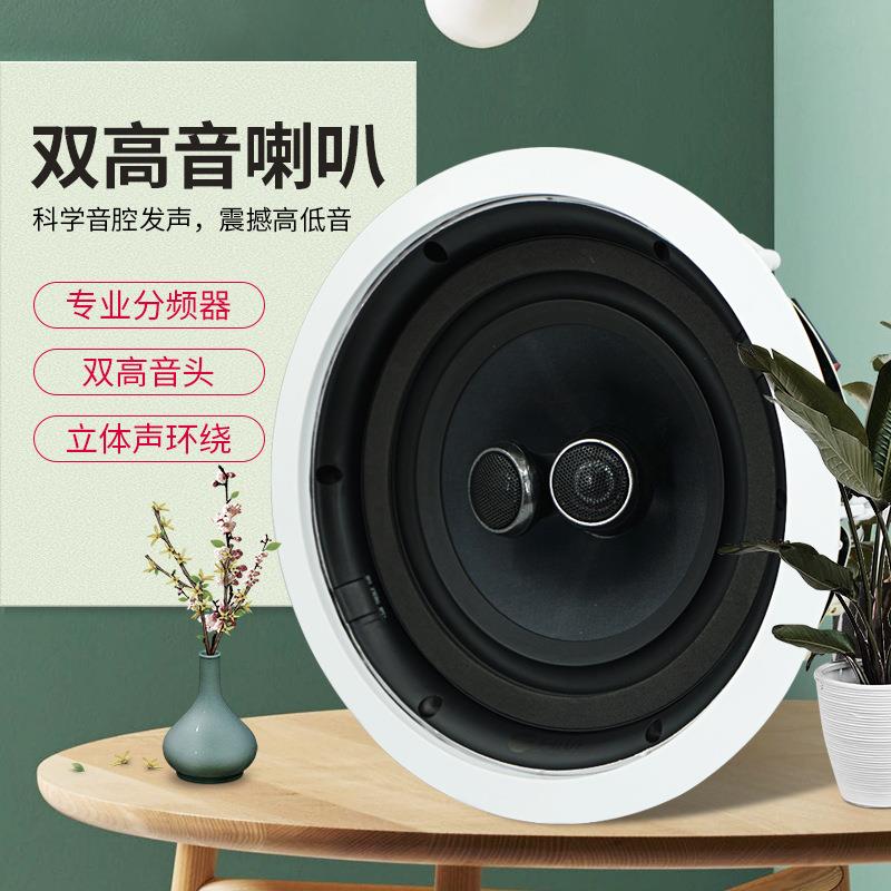 惠威VR8-SC吸顶喇叭8寸环绕立体声音响吊顶家用天花板嵌入式音响