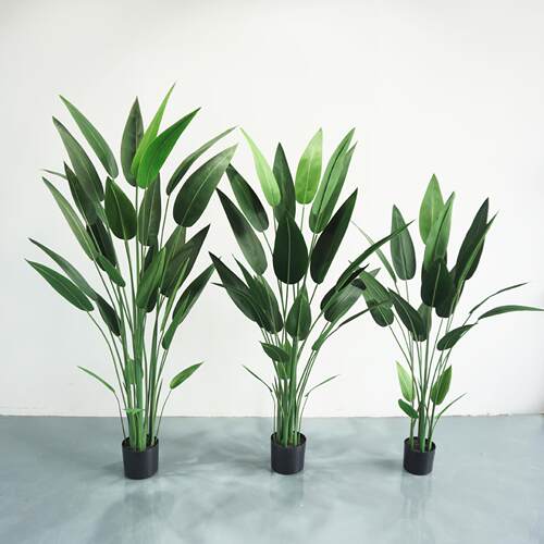 仿真绿植美人蕉天堂鸟水美人假植物盆景摆件造景盆栽植物室内绿植