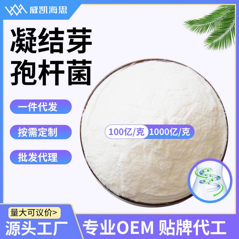 益生菌混合饲料添加水产畜牧养殖乳酸菌原料粉100亿 凝结芽孢杆菌