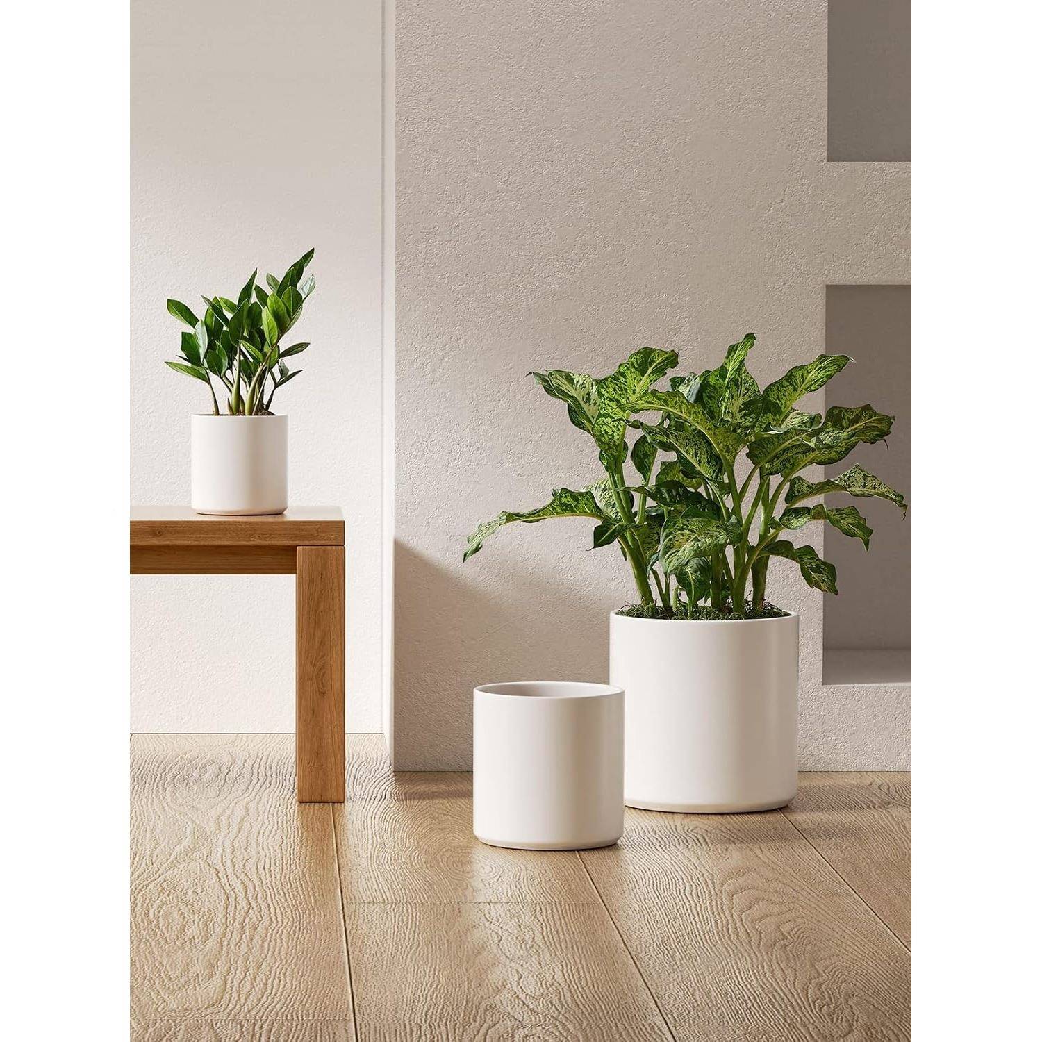 室面内植ZIS物桌陶瓷花盆好3件套绿植高颜值花器物