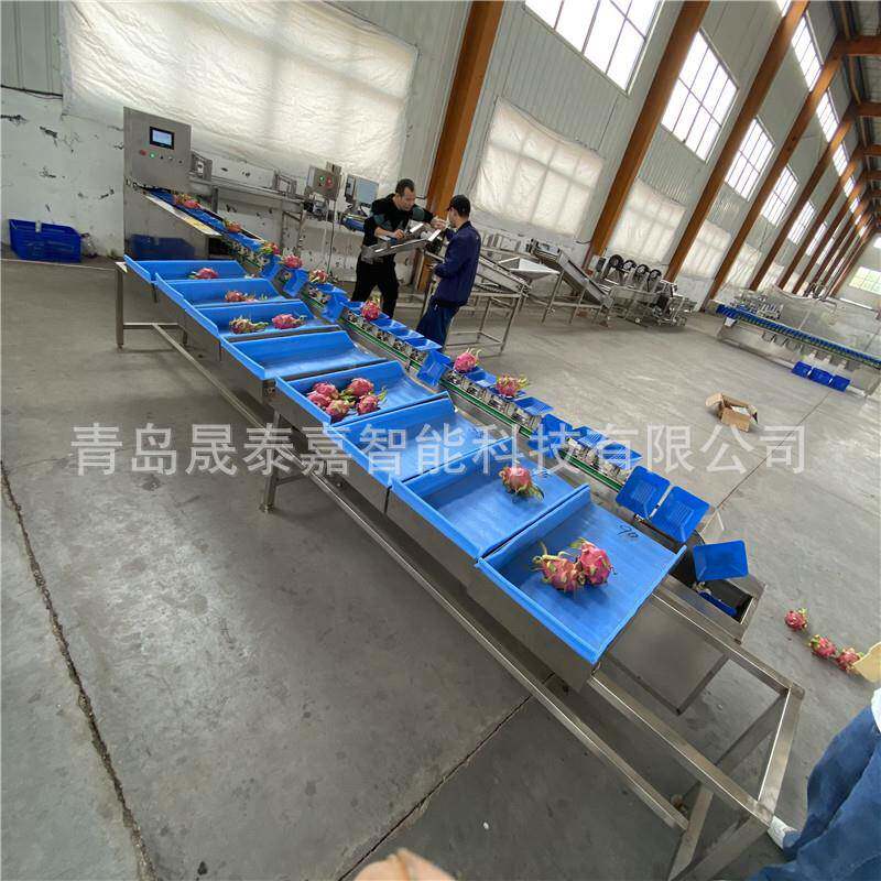 重量分选机海货转盘式全自动级水果人参称分机重分RMV拣机筛分设