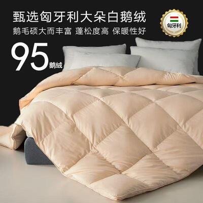 羽被绒5鹅绒冬被加厚保暖蓬松鹅绒被春秋被白月挺家纺子被芯一件9