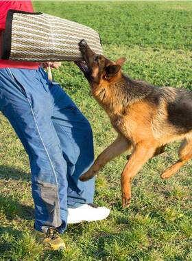 咬训犬扑咬袖训狗黄麻护德马犬耐撕专业护具护臂防LY000111袖护牧