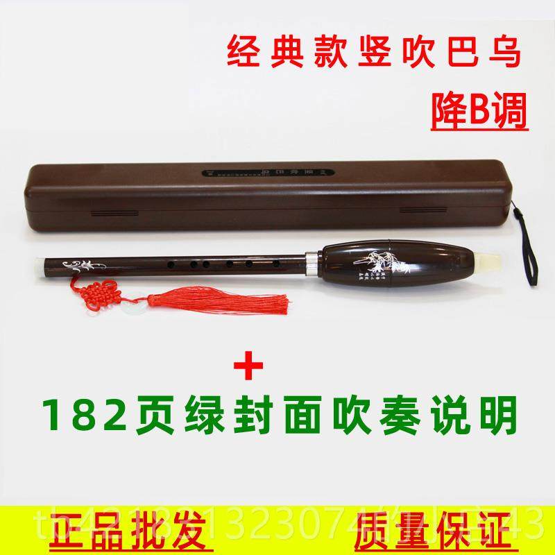 高档树脂巴乌竖吹C调降B调G调F学调生儿童学成人初教者演奏乐器学