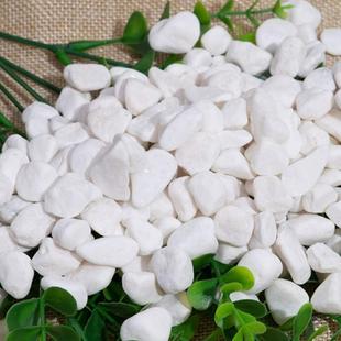 白色鹅卵石雪花白多肉盆栽面制雨465花石缸鱼铺造景水机池白石子