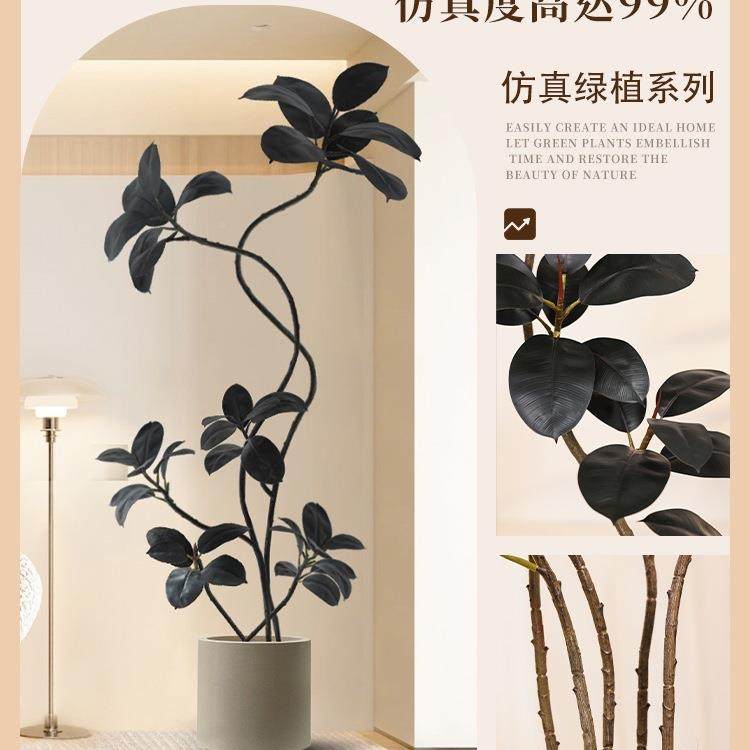 10010360绿植大柜型客落地摆件室内发电视旁边假植物黑金刚橡厅皮