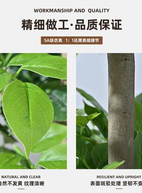 假幸家福树仿真件植物发财树客厅大型落地假绿植室内居XOJ装饰摆