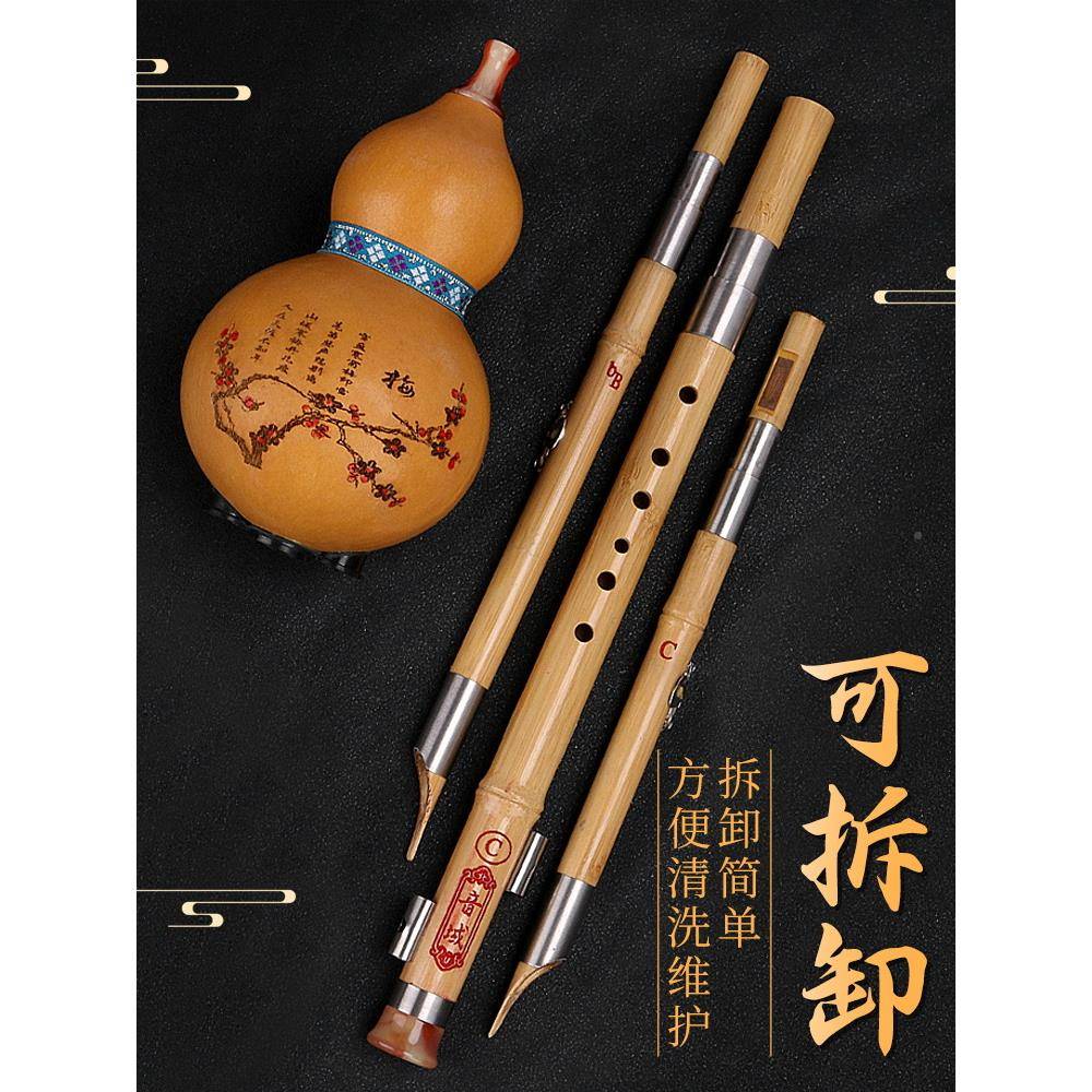 南葫ZKB芦丝乐学器金丝楠竹初者c调降b调三音学生云专业演奏儿乐