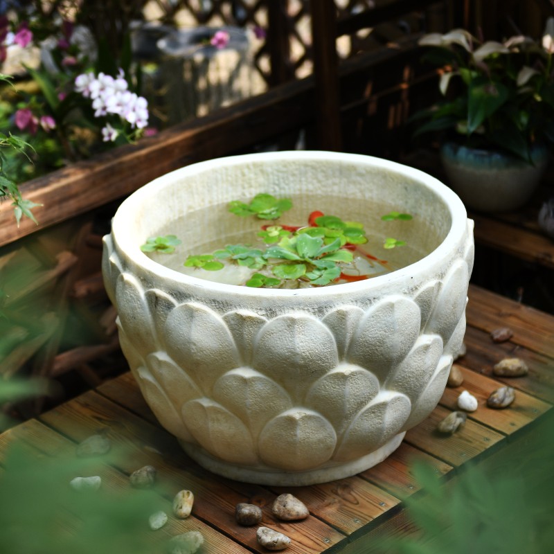 水培花盆摆件中式庭院鱼缸鱼池水景花园阳台布置盆景景观造景盆栽