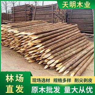 河531杉木木桩打桩木驳岸护道坡护堤桩防防洪工汛程林场直发建筑