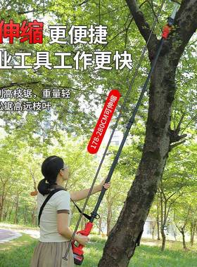 牧人电高枝电动高枝加长杆伸缩54566充锯电式修剪树锂枝高电锯达