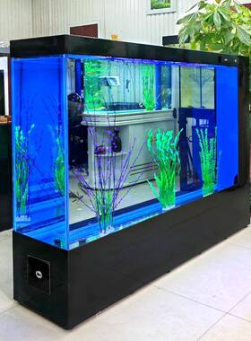 长方形简族约屏风一隔断超厅白鱼缸家用客中大型体PXW免换水生态
