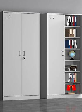 会计凭证柜钢件资料档柜办公室带锁铁61619皮书制柜落案地储物柜