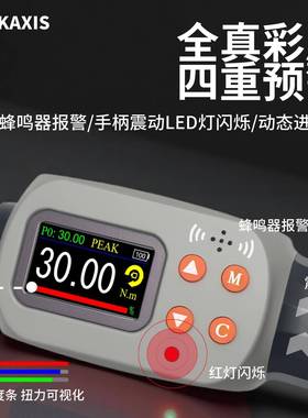 数显扭力手可换头高精扳可调扭矩电子报警PBI汽度修轮胎工维业修