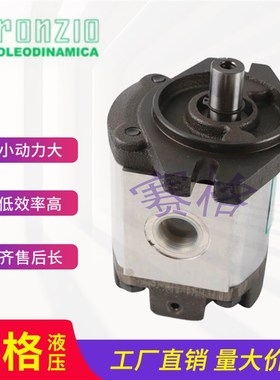 罗茨RONZIO齿轮泵02ZAG06/04/08/11/14/17/20/25/31E034S-0B油泵