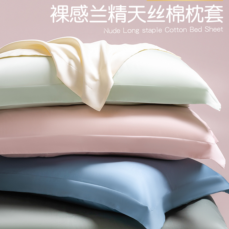 兰精天丝棉枕头套一对装夏季家用凉感冰丝枕套枕芯内胆套48x74cm